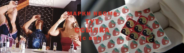 мет Алексин