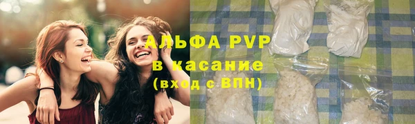 мяу мяу мука Аркадак