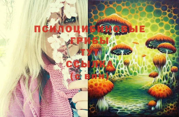 мяу мяу мука Алексеевка
