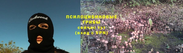 мет Алексин
